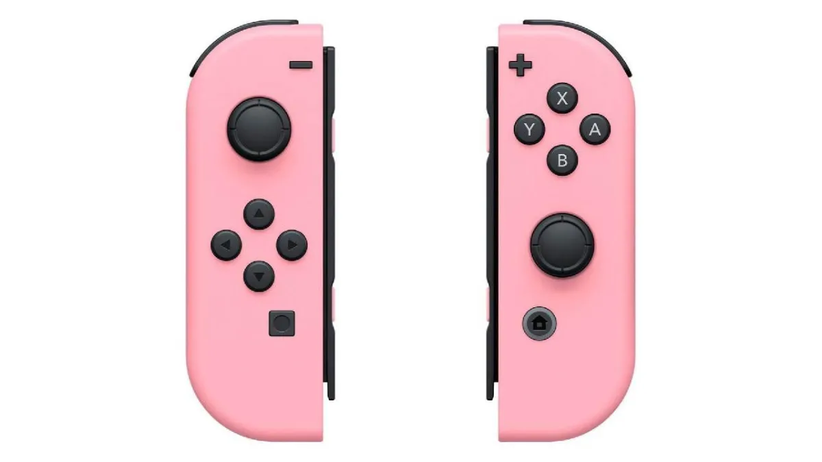 Nintendo Switch Joy-Con