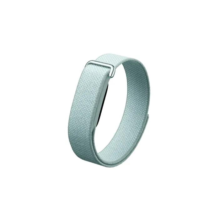 Google Fitbit Air Fog