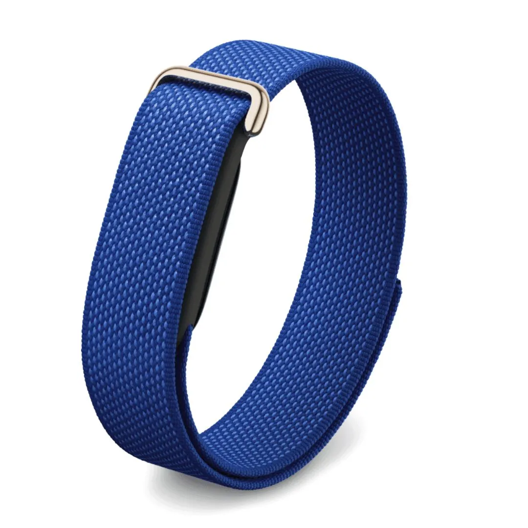 Google Fitbit Air Pokémon Sleep Band